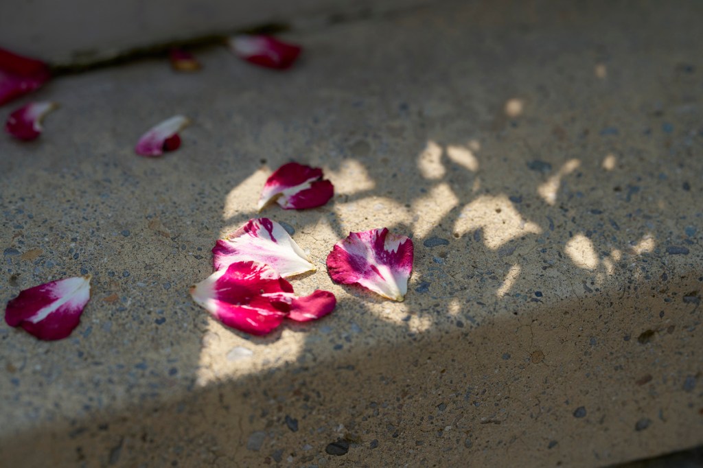 Things I am unapologetically accepting… starting now.